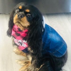 Meet your Posher, Heather